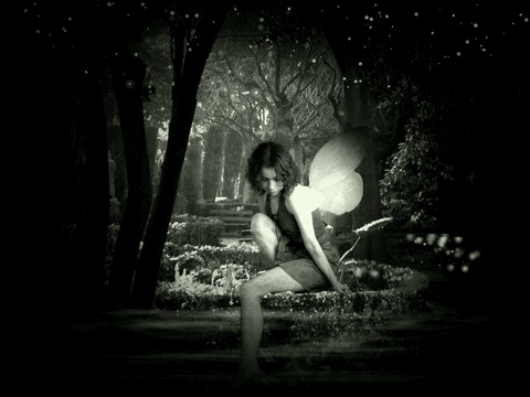 Pas celle que tu crois....